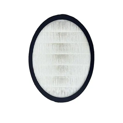 Kann der Hepa-Filter H13 Viren entfernen?